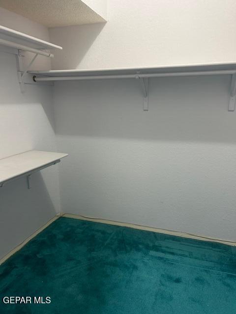 spacious closet with dark carpet