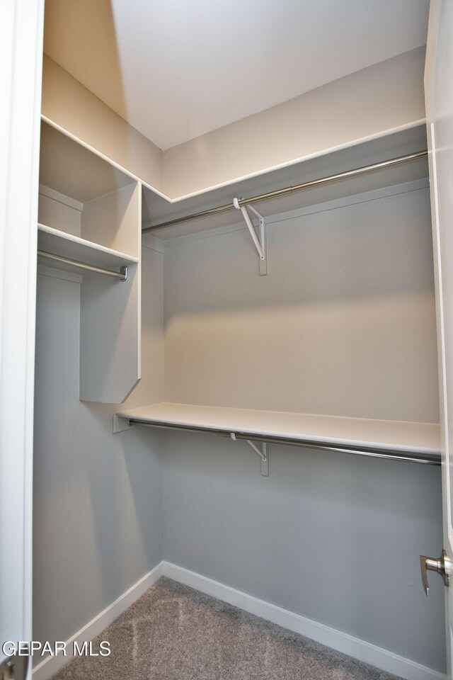 15237 Gauge Ct, El Paso, TX 79938 - spacious closet with carpet floors