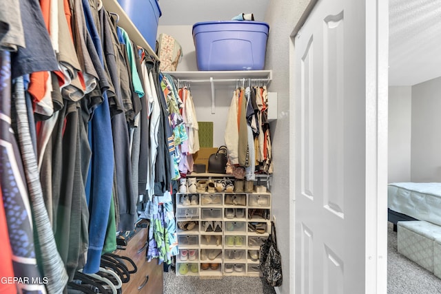walk in closet featuring carpet floors