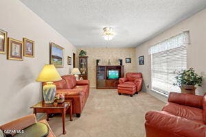 1421 Monte Negro Dr, El Paso, TX 79935 - carpeted living area with a textured ceiling
