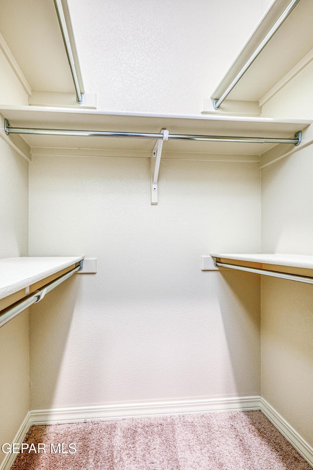 14940 Tierra Escape Ave, El Paso, TX 79938 - spacious closet with carpet