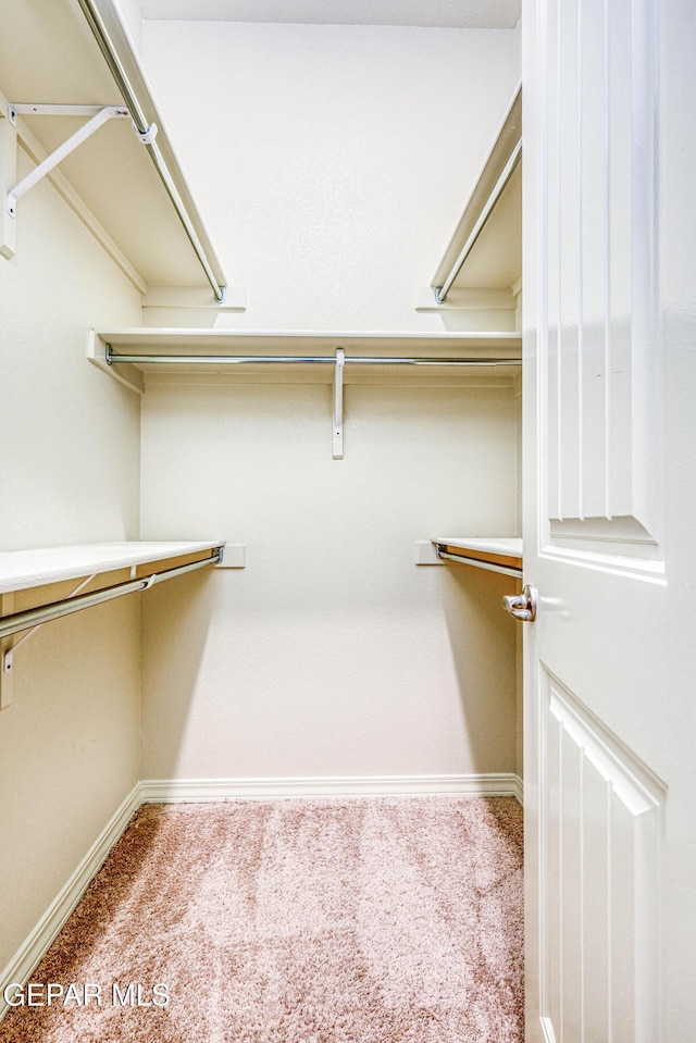 14940 Tierra Escape Ave, El Paso, TX 79938 - walk in closet featuring carpet flooring