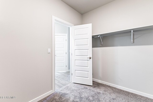 spacious closet with light carpet