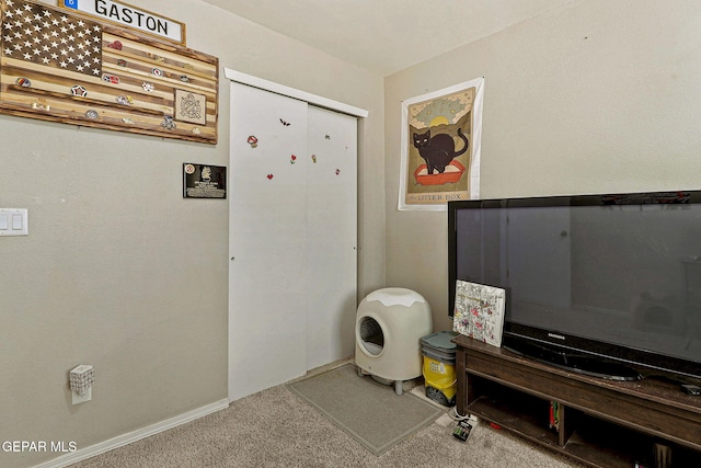 miscellaneous room featuring carpet floors and baseboards