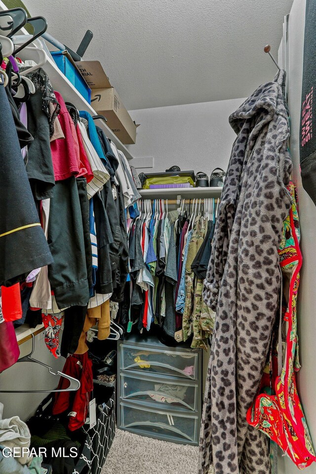 spacious closet with carpet flooring
