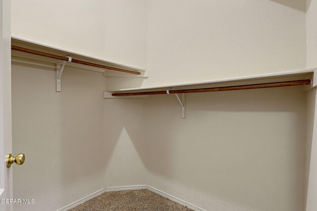 spacious closet featuring carpet
