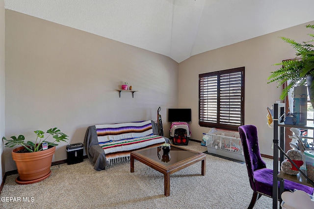 12541 Setting Sun Dr, El Paso, TX 79938 - carpeted home office featuring baseboards and lofted ceiling