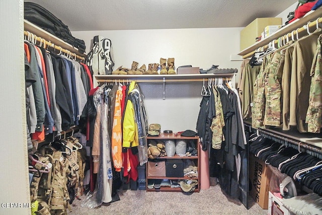 spacious closet featuring carpet