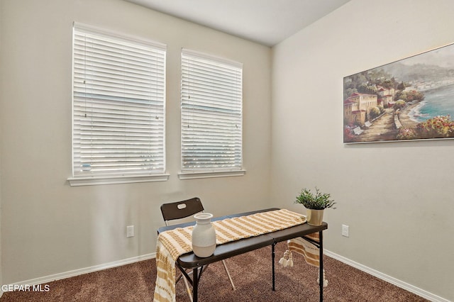 1021 Aerodyne Pl, El Paso, TX 79928 - home office with carpet and baseboards