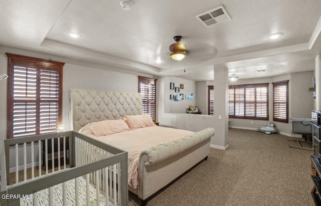 12164 Sitting Bull Dr, El Paso, TX 79936 - bedroom with a raised ceiling, carpet, multiple windows, and recessed lighting