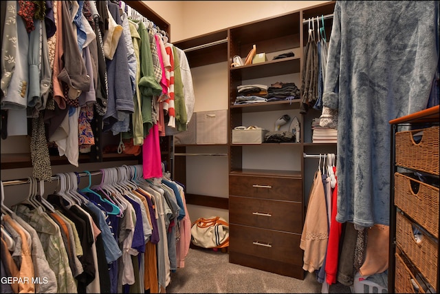 spacious closet featuring carpet flooring