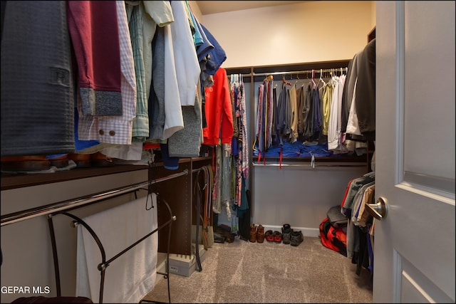 walk in closet with carpet