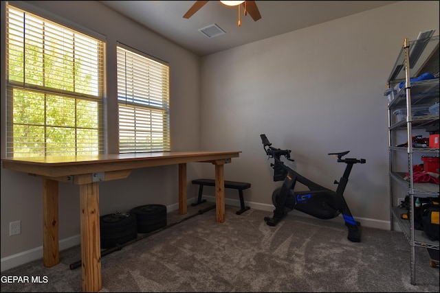 workout area featuring carpet flooring, ceiling fan, and visible vents