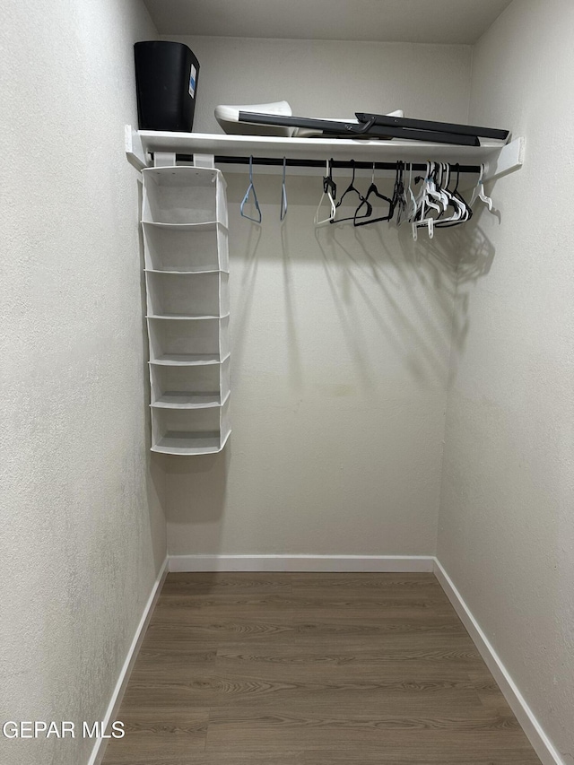 spacious closet with wood finished floors