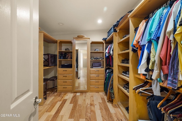 1859 Luis Gomez Place, El Paso, TX 79936 - spacious closet with light wood-style flooring