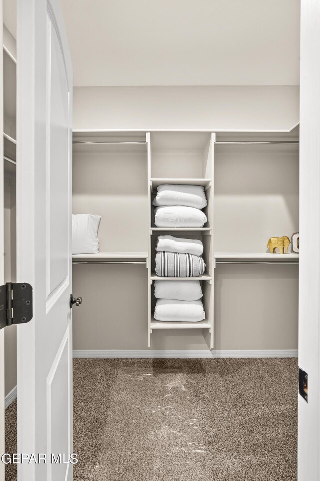 921 Raegil St, El Paso, TX 79928 - walk in closet with carpet