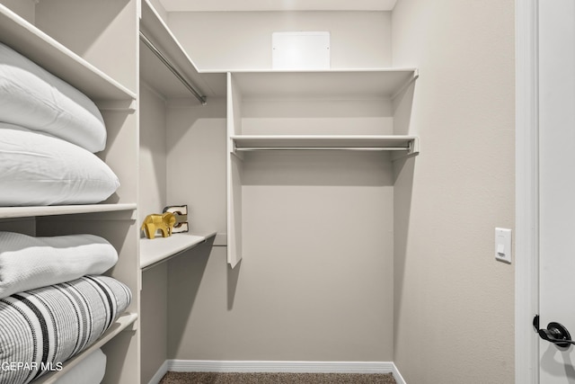 921 Raegil St, El Paso, TX 79928 - view of spacious closet