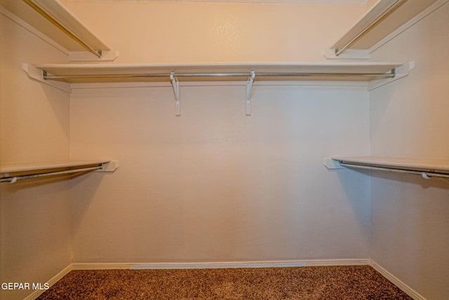 527 Longleaf Pl, El Paso, TX 79928 - walk in closet with carpet floors
