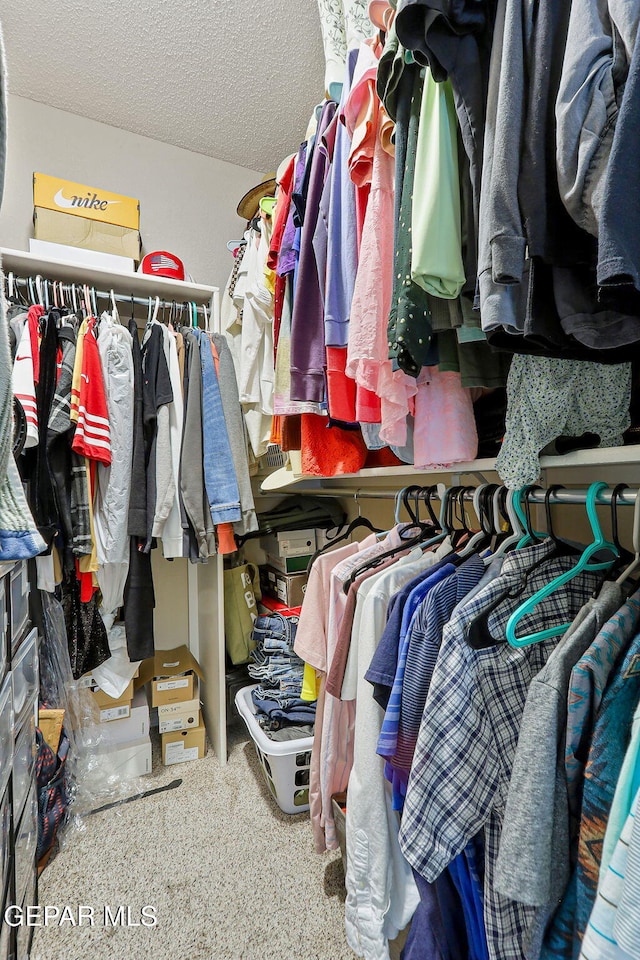 view of spacious closet