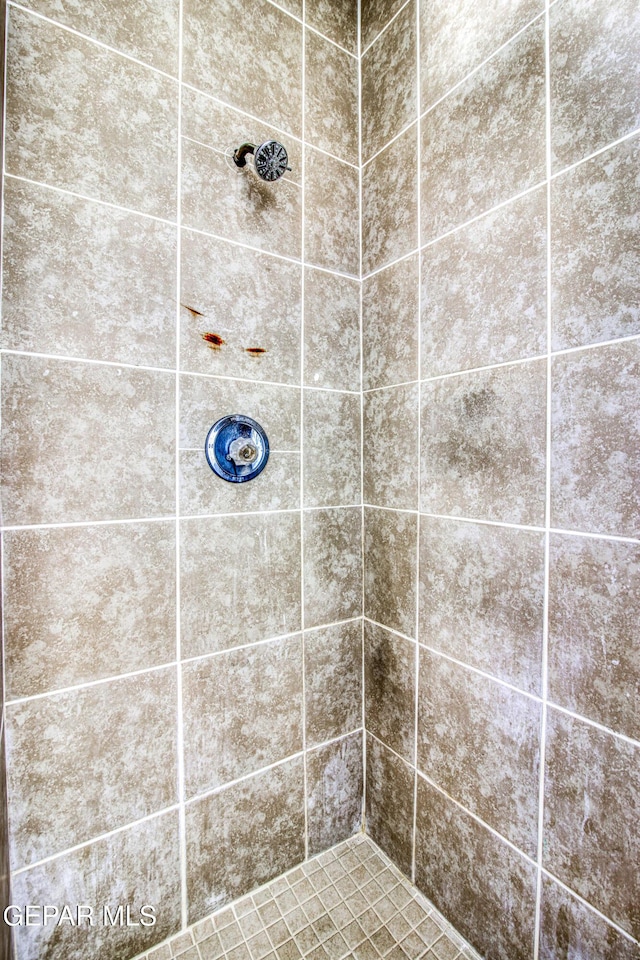 8929 Robert Dr Unit 1 & 2, El Paso, TX 79904 - bathroom featuring a tile shower