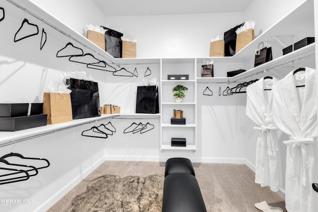 128 Bonnie Trl, Santa Teresa, NM 88008 - walk in closet featuring carpet