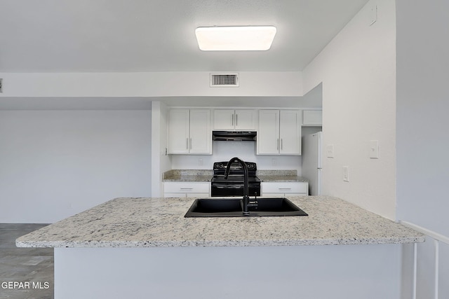 kitchen with electric range, a sink, freestanding refrigerator, white cabinetry, and under cabinet range hood
