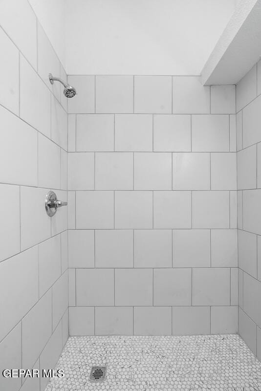 full bathroom featuring a tile shower