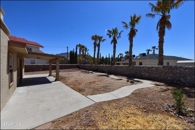 view of yard with a patio area and a fenced backyard