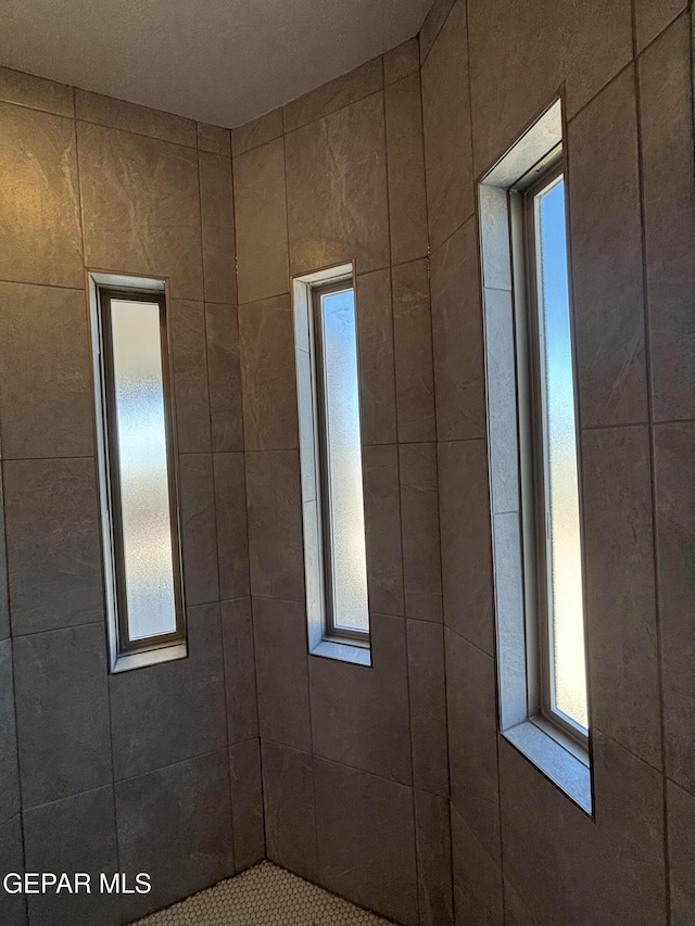 bathroom view of a tile shower