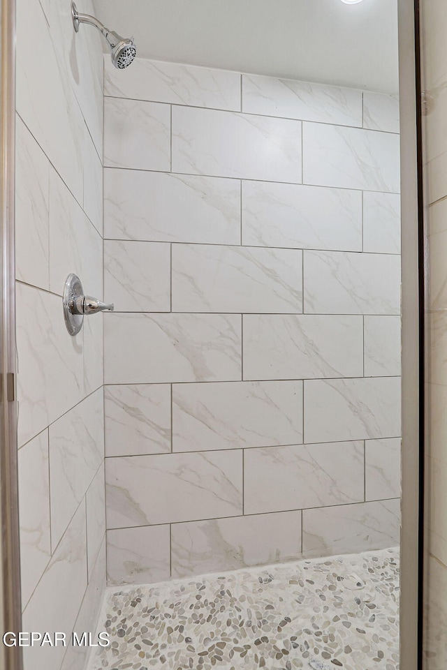 14296 Chris Zingo Ln, El Paso, TX 79928 - bathroom with a shower stall