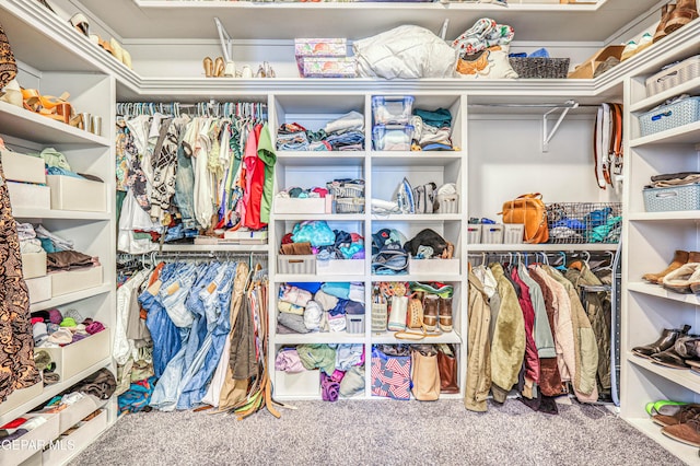 walk in closet featuring carpet flooring