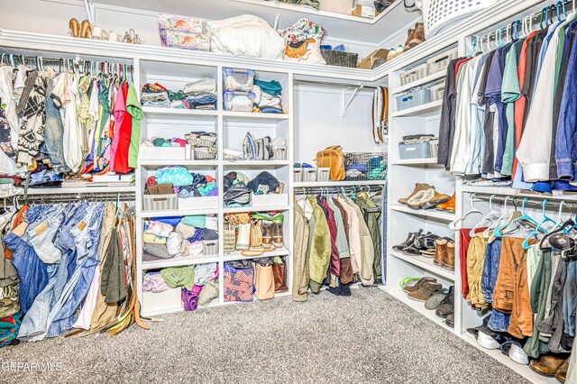 spacious closet with carpet floors