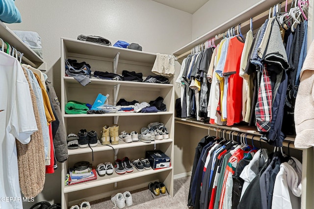 walk in closet featuring carpet
