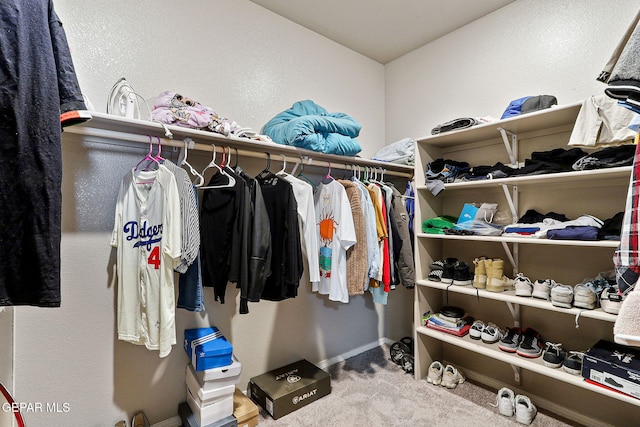 walk in closet with carpet