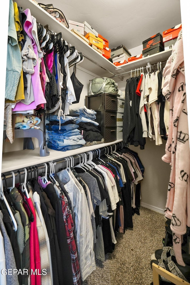 spacious closet featuring carpet