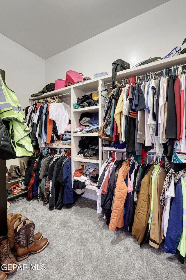 spacious closet featuring carpet