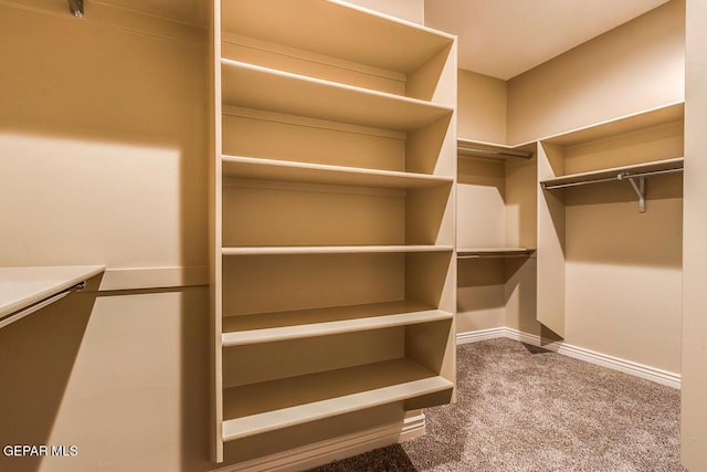 walk in closet featuring carpet