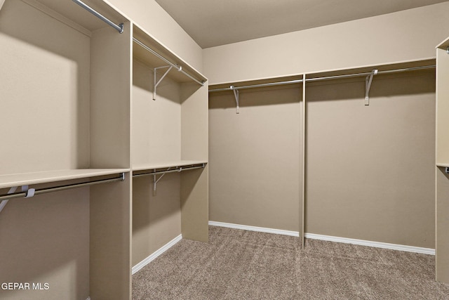 7541 Wolf Creek Dr, El Paso, TX 79911 - spacious closet featuring carpet