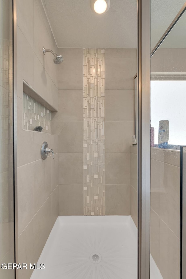 13868 Sky Ranger Ave, El Paso, TX 79928 - bathroom with a stall shower