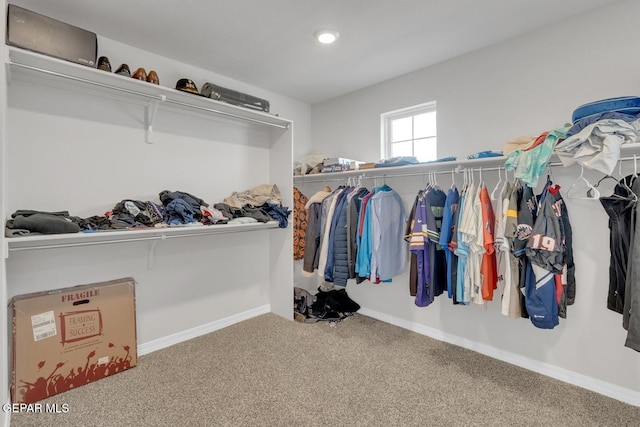 13868 Sky Ranger Ave, El Paso, TX 79928 - spacious closet with carpet flooring