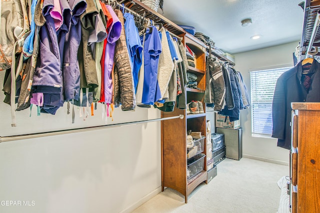 spacious closet featuring carpet floors
