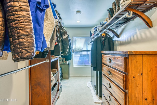 walk in closet with carpet flooring