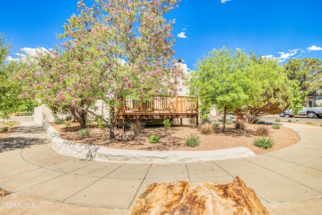 view of yard featuring a deck