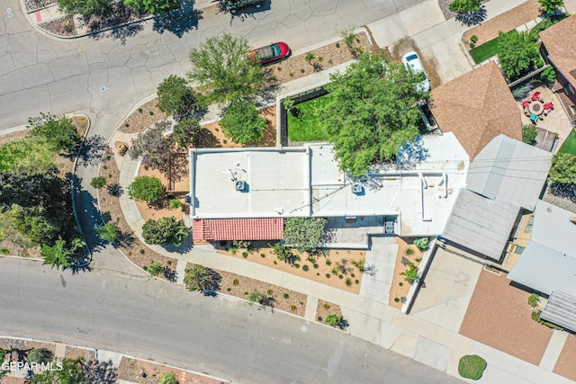 bird's eye view