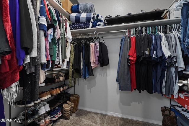 walk in closet with carpet floors