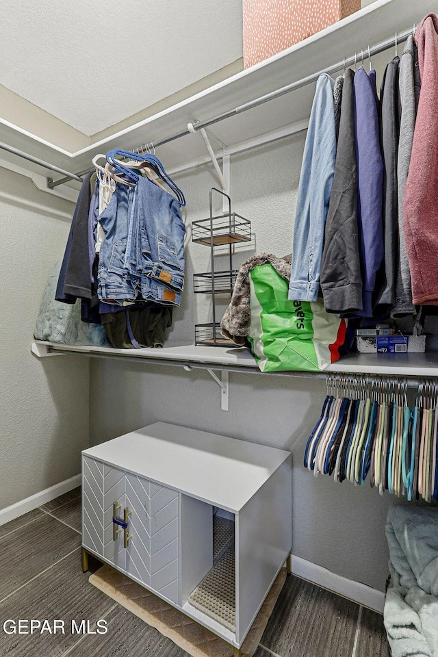 view of spacious closet