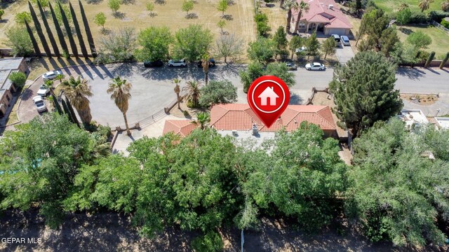 bird's eye view