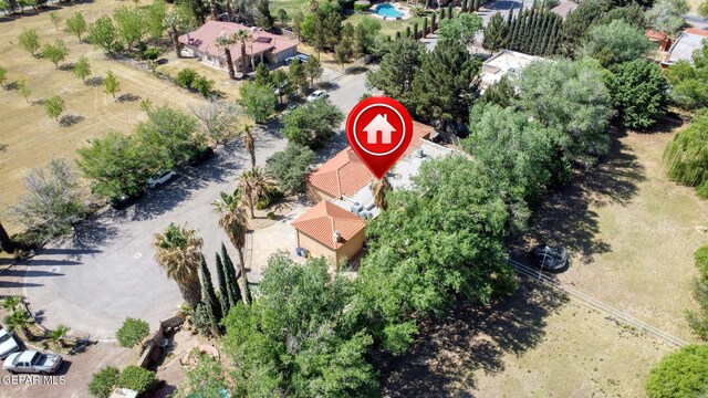 bird's eye view