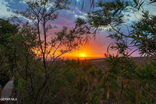 view of nature at dusk