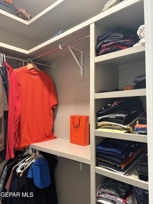 14233 Richard Wiles Ave, El Paso, TX 79938 - view of walk in closet
